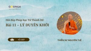 Hỏi đáp Pháp học Tứ Thánh Đế: Bài 11 – LÝ DUYÊN KHỞI