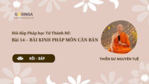 Hỏi đáp Pháp học Tứ Thánh Đế: Bài 14 – BÀI KINH PHÁP MÔN CĂN BẢN