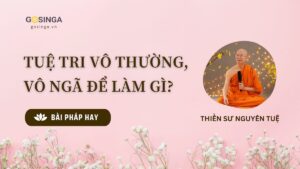 TUỆ TRI VÔ THƯỜNG, VÔ NGÃ ĐỂ LÀM GÌ?